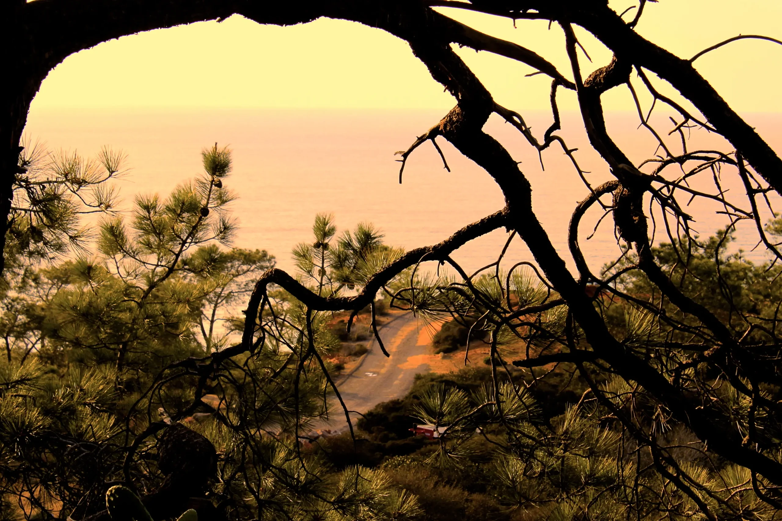 The_Pacific_Ocean_seen_from_Torrey_Pines_Park_Road Pacific Ocean from Tory Pines