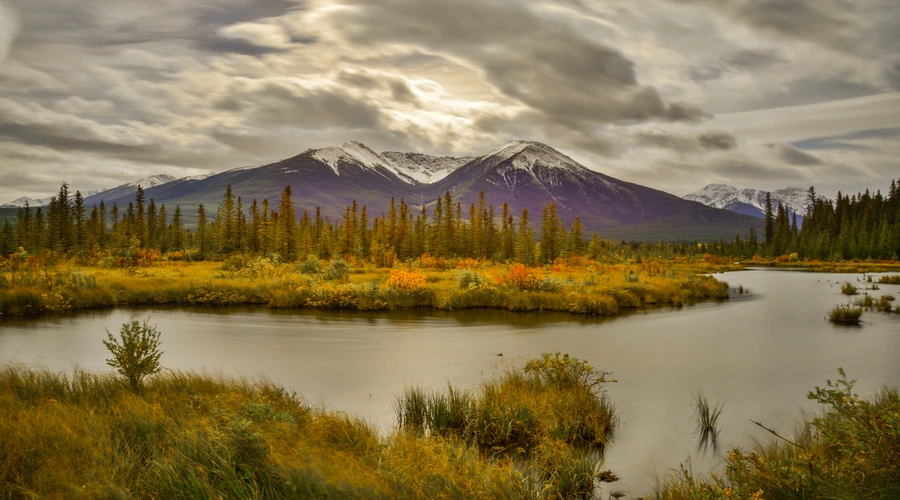 Banff National Park during Fall Foliage Season