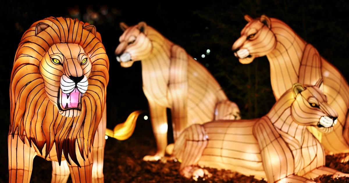 Bronx Zoo Holiday Lights - christmas light shows in new york
