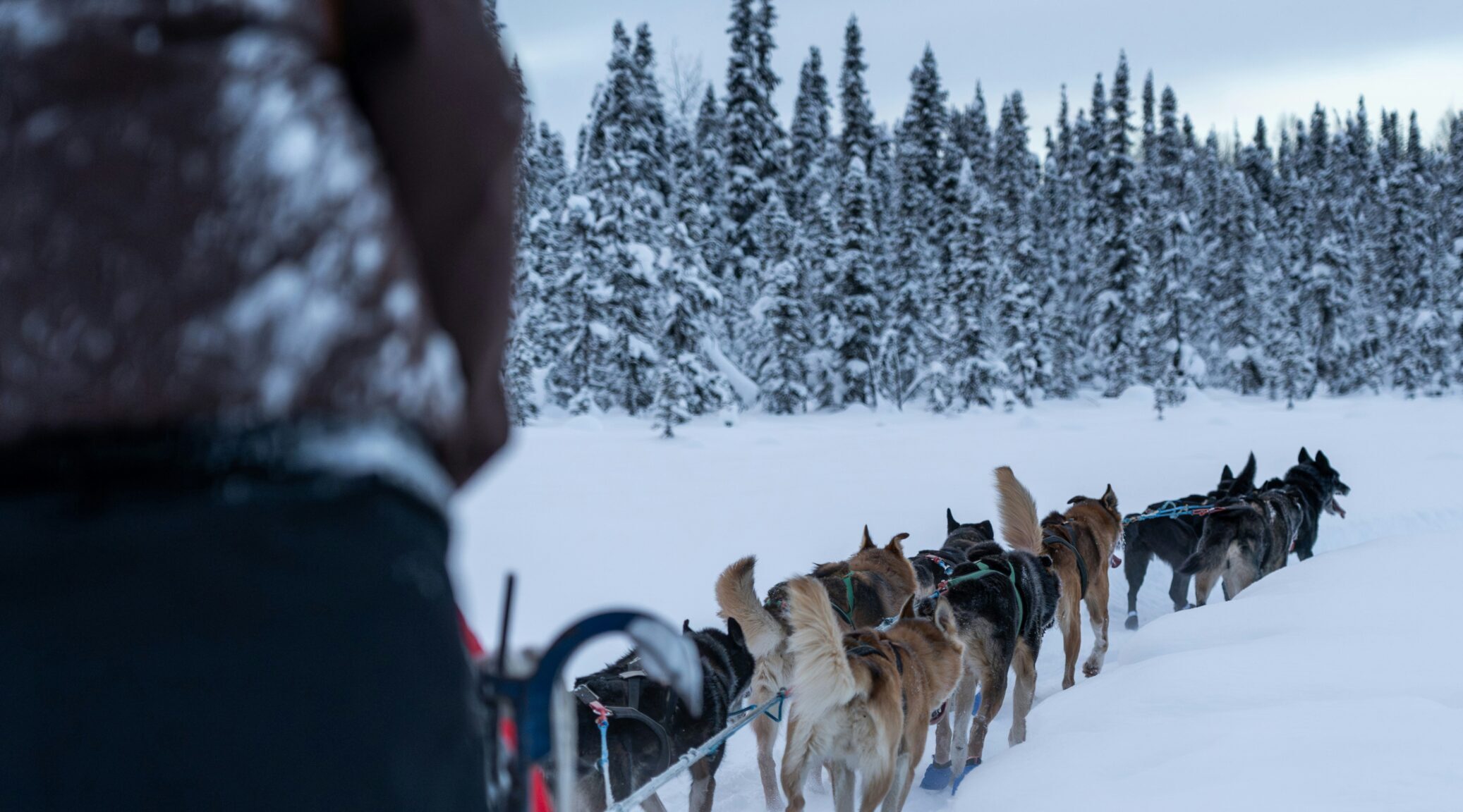 Alaska winter destination USA