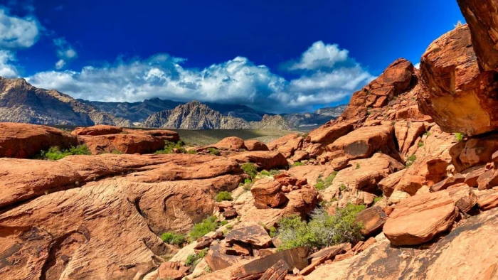 red rock canyon